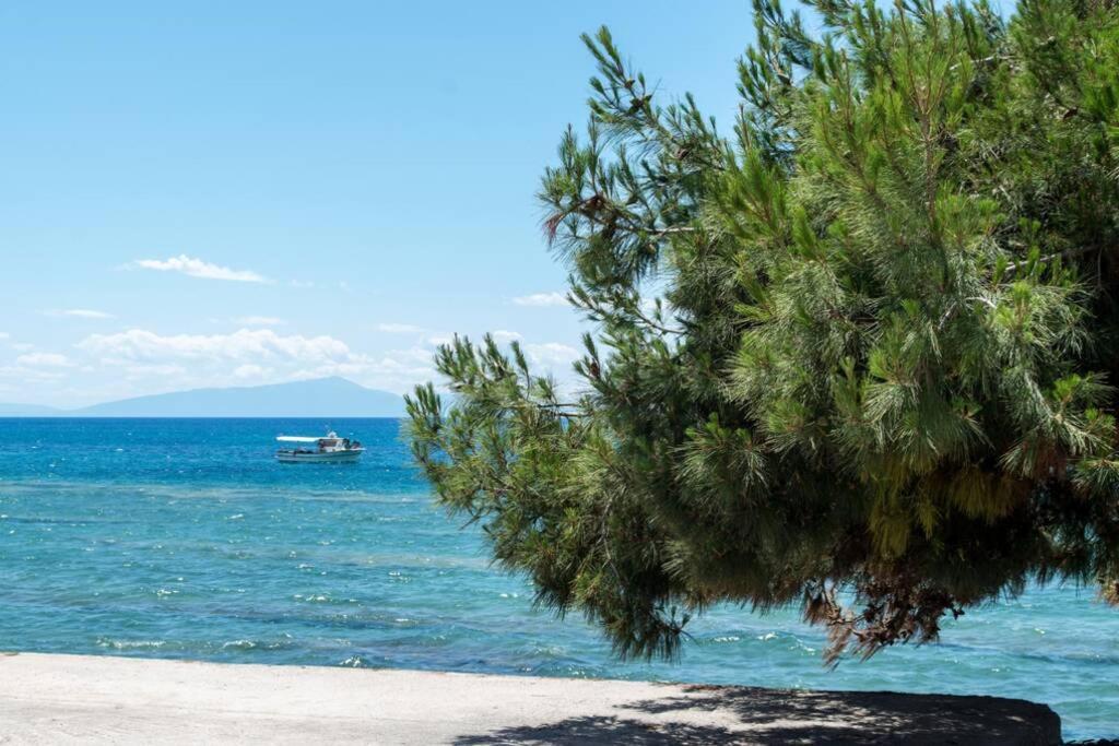 Endless Sea View House Villa Nea Iraklia Bagian luar foto